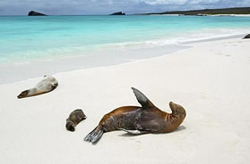 Galapagos Islands lesbian cruise