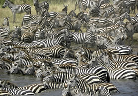 Serengeti National Park