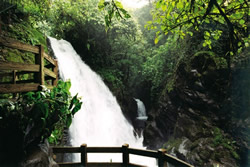 Lesbian Costa Rica tour - La Paz Waterfall Gardens