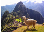 Peru Lesbian Adventure Tour 2025