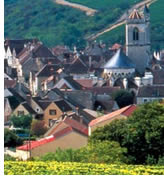 Discovering Provence and Burgundy Olivia lesbian cruise