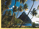 All-lesbian Windward Islands cruise - St. Lucia