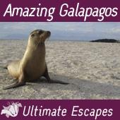 Exclusively lesbian Amazing Galapagos cruise