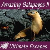 Exclusively lesbian Amazing Galapagos cruise