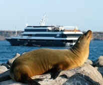Olivia lesbian Galapagos cruise