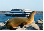 Exclusively Lesbian Galapagos cruise
