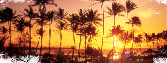 Gay family Spring break cruise to Hawaii