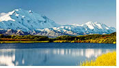 Alaskan Adventure All Gay Cruise