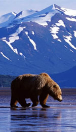 Alaska Summer All-Gay Cruise 2013