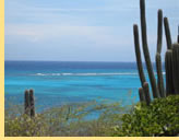 RSVP gay Caribbean cruise Visiting Aruba