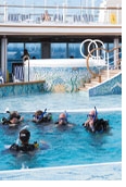 RSVP Eastern Caribbean gay cruise