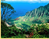 RSVP gay Hawaii cruise Visiting Kauai