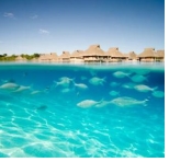 RSVP exclusively gay Tahiti sailing