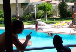 Gay friendly Playa del Ingles Barbados Apartments