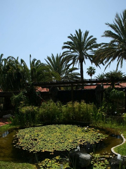 Gran Canaria gay friendly Hotel Catarina