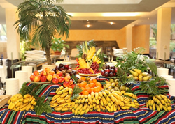 Gran Canaria Gay friendly Ifa Catarina Hotel