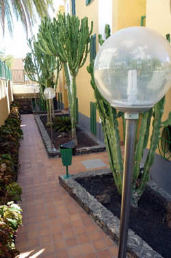 Judoca Colors Apartments, Playa del Ingles