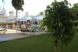 Gay friendly Los Tilos Apartments, Playa del Ingles
