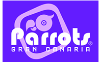 Parrots Gran Canaria