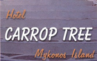 Mykonos very gay friendly Carrop Tree Hotel