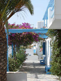 Carrop Tree hotel Mykonos