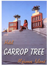 Mykonos gay hotel Carrop Tree