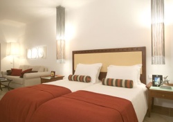 Mykonos gay friendly hotel Mykonos Grand
