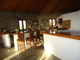 Exclusively Gay Hotel Villa Konstantin Mykonos