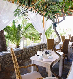 Gay friendly Elena Hotel Mykonos