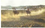 Horse riding on Mykonos Island