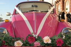 Gay wedding car