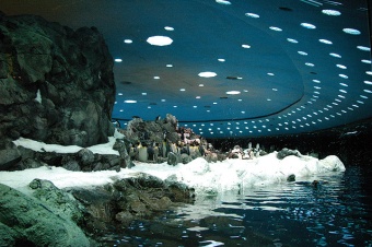Loro Parque Tenerife