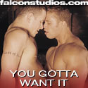 Falcon Videos