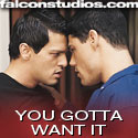 Falcon Toys