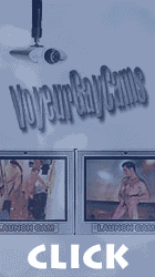 Voyeur Gay Cams