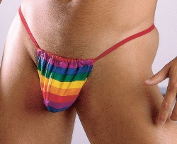Rainbow Posing Strap