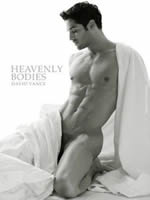 Heavenly Bodies - David Vance 