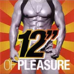 12 Inches of Pleasure CD