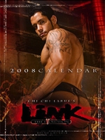 Link 2008 Calendar