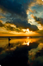 Gay week in Bali