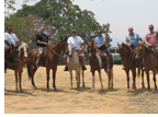 Gay Horseback Riding