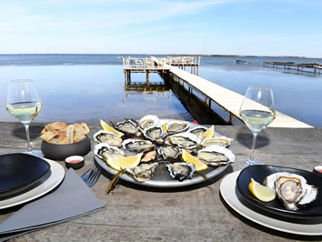 France gay holidays - Oyster excursion