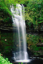 Ireland Gay Tour