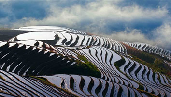 China gay tour - Longji Terraced Fields