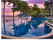 gay hamilton island Xxx grandma brazil