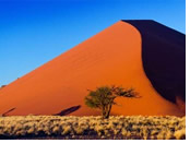 Namibia gay tour - Namib Naukluft National Park