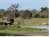 Botswana luxury gay safari
