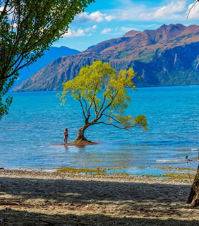 Gay New Zealand tour