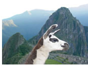 Machu Picchu gay travel
