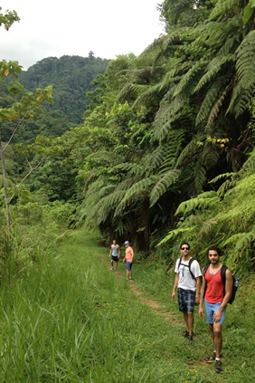 Gay Only Costa Rica Tour